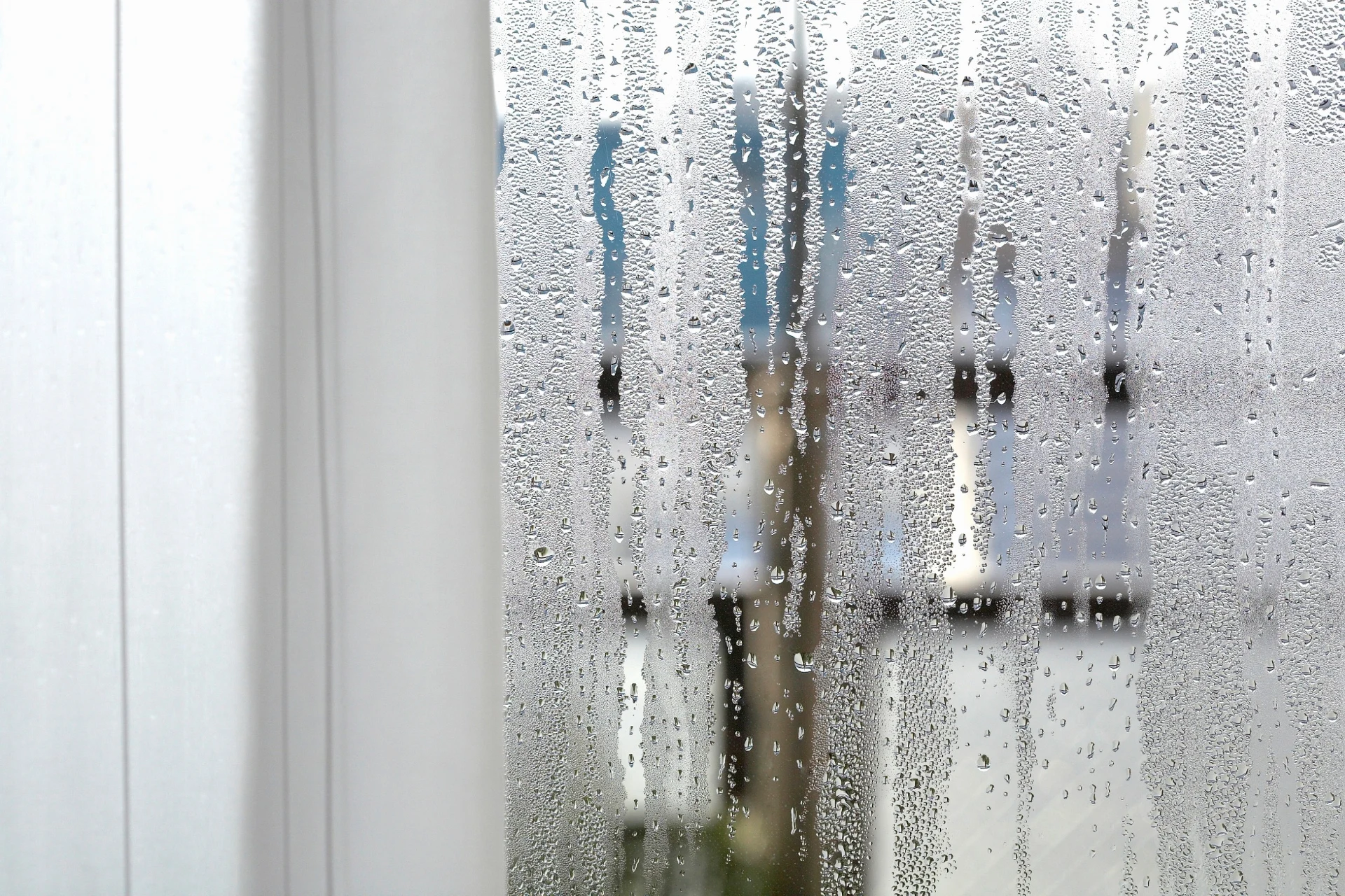 Legen Sie es auf die Fensterbank. Sie werden Feuchtigkeit und Schimmel an den Fenstern vergessen