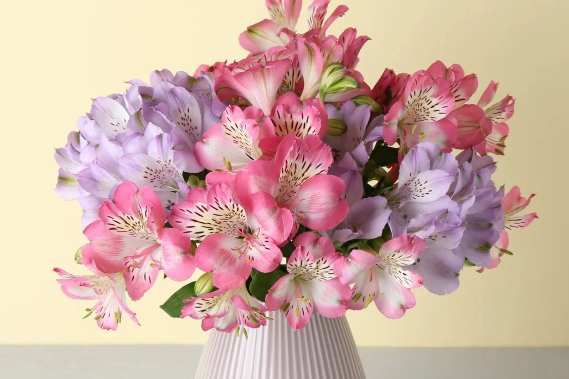 Die 10 langlebigsten Blumen für die Vase. Expertenbewertung