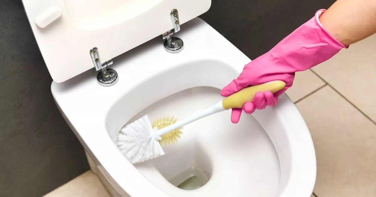 Ich messe einen Löffel ab und streue ihn über Nacht in die Toilette. Gelbe Flecken und unangenehme Gerüche gehören dann der Vergangenheit an.