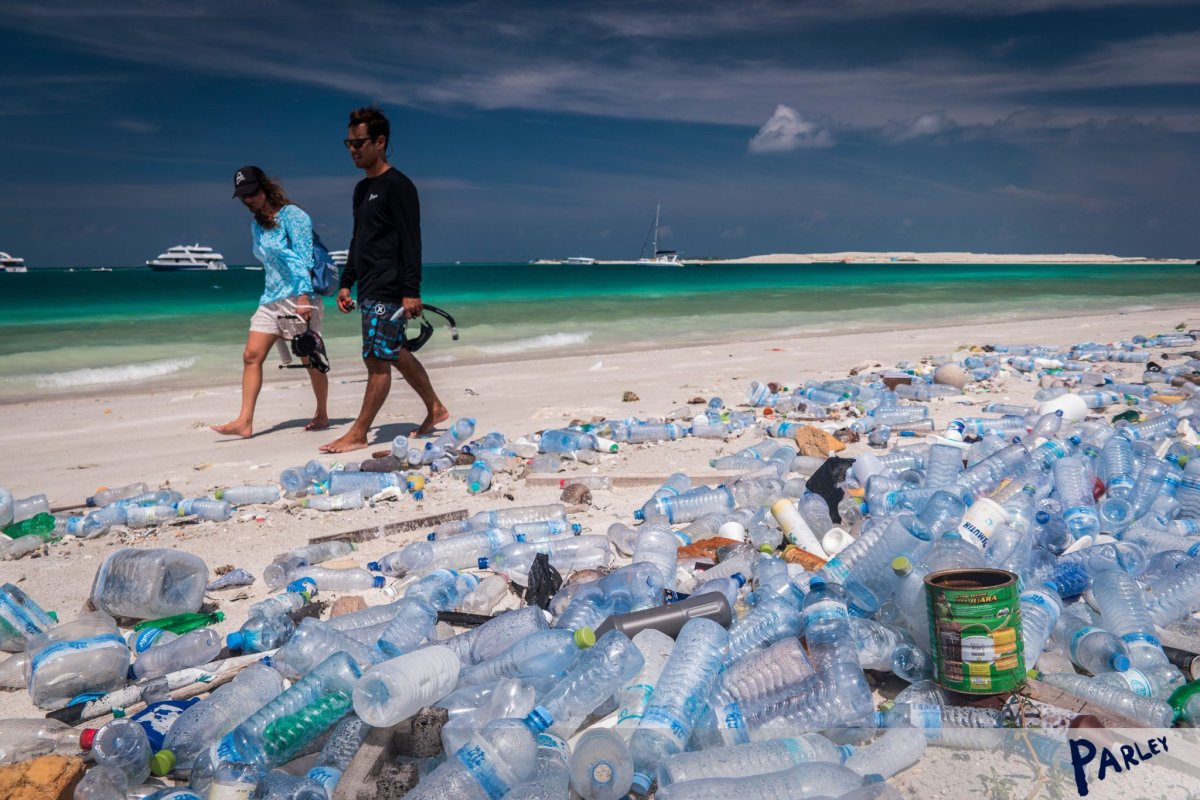 Wissenschaftler der Universität Hamburg verwandeln Plastikmüll in effektive Materialien zur CO2-Abscheidung