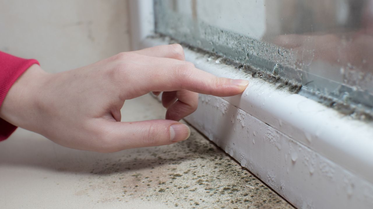 Seit ich diese wenig bekannte Methode anwende, ist die Feuchtigkeit aus meinem Haus verschwunden. Das Problem der beschlagenen Fenster ist gelöst.