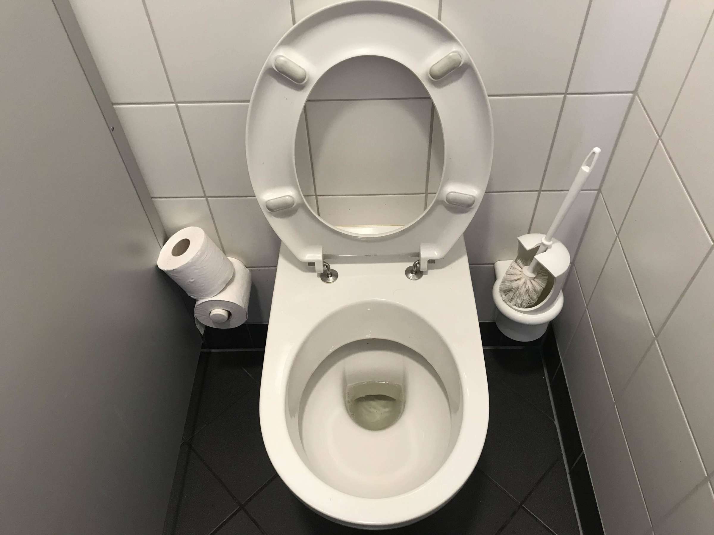 Nicht hocken und kein Papier in die Toilette werfen: Was Sie tun sollten, wenn Sie eine öffentliche Toilette benutzen Merken Sie sich, was Sie tun sollten, wenn Sie eine öffentliche Toilette benutzen