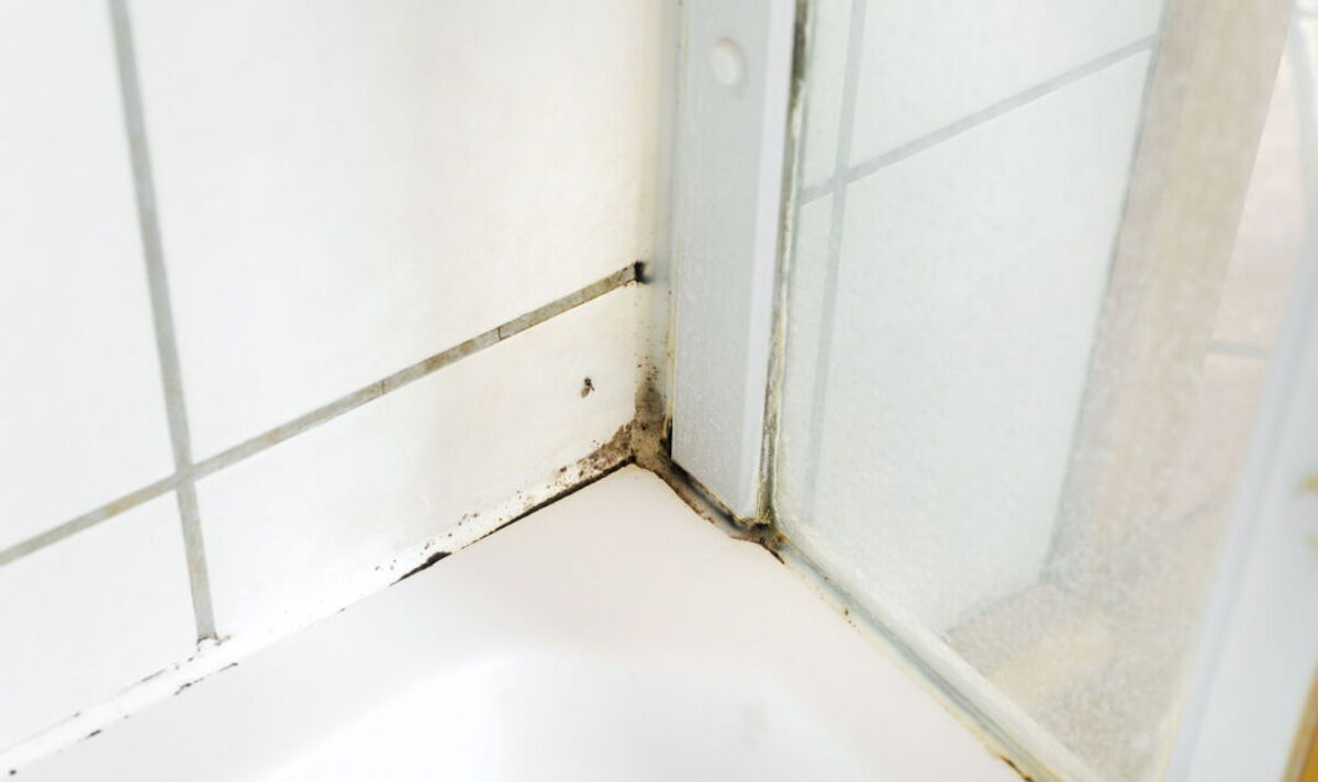 Schimmel an den Fugen im Badezimmer? So werden Sie ihn in einer Minute los.