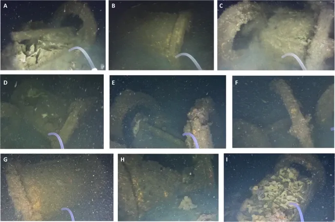 Entdeckung in der Ostsee. Wissenschaftler: Leben auf einer Bombe