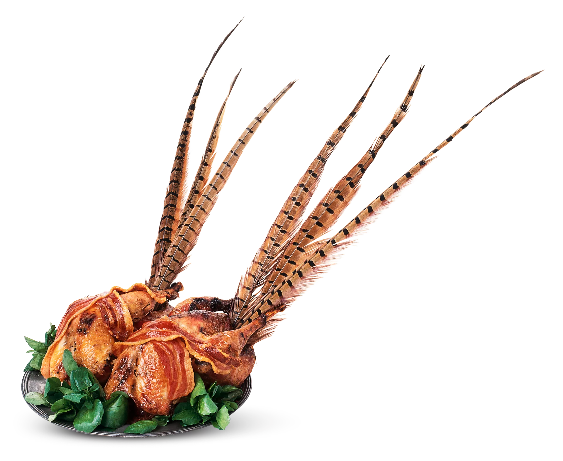 Heute haben die Deutschen es vergessen, aber es ist besser als Huhn. Es ist fettarm und reich an Eisen.