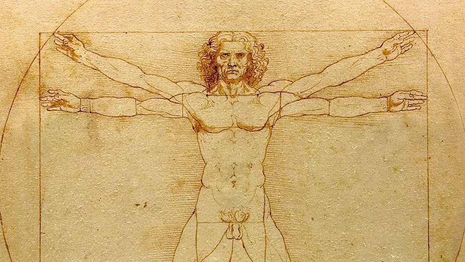 Neue Entdeckung in einer Zeichnung von da Vinci. Unbekannte Tatsache aufgedeckt