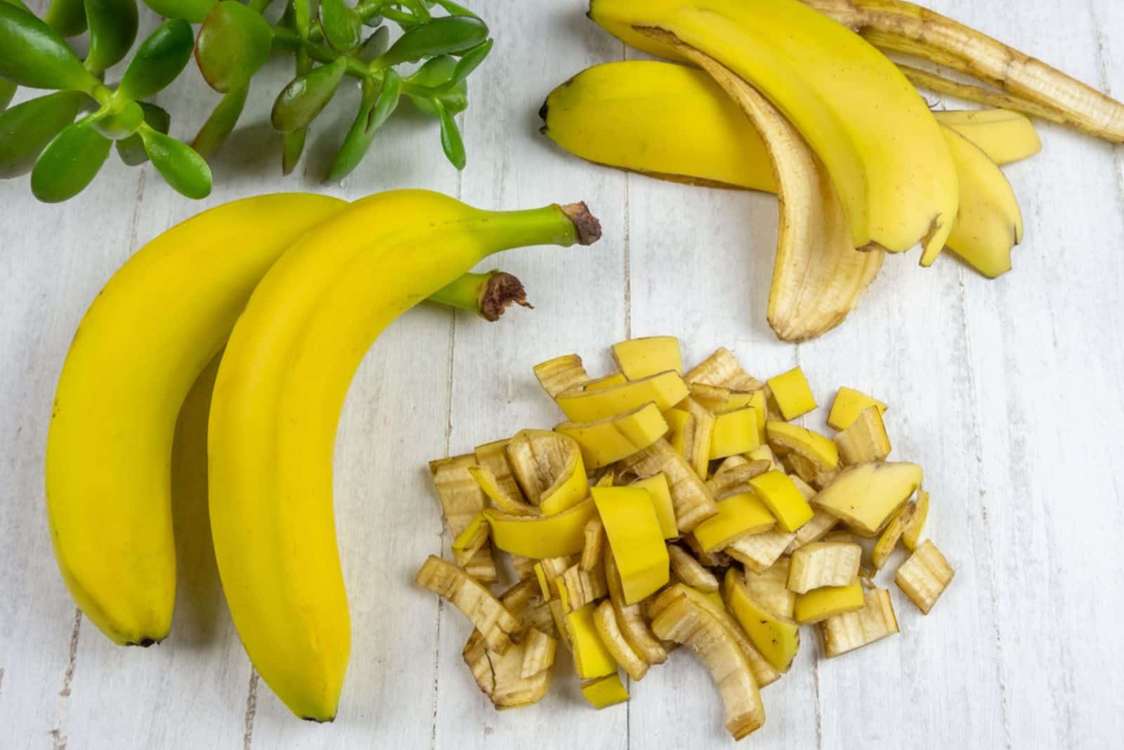 Bananenschalen mit Backpulver: Warum wird diese Mischung empfohlen und wofür wird sie verwendet?