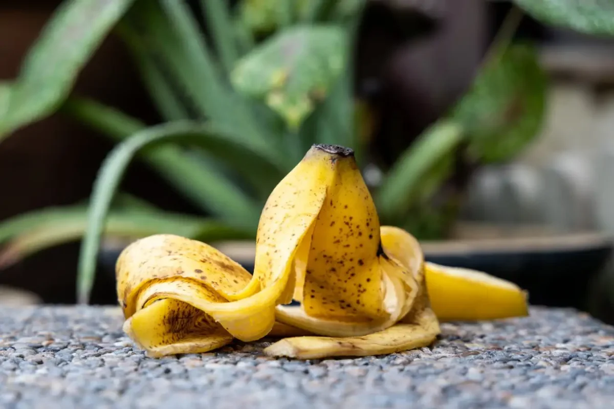 Wie man Bananenschalen einfriert: Wozu sie gut sind und wie man sie verwendet