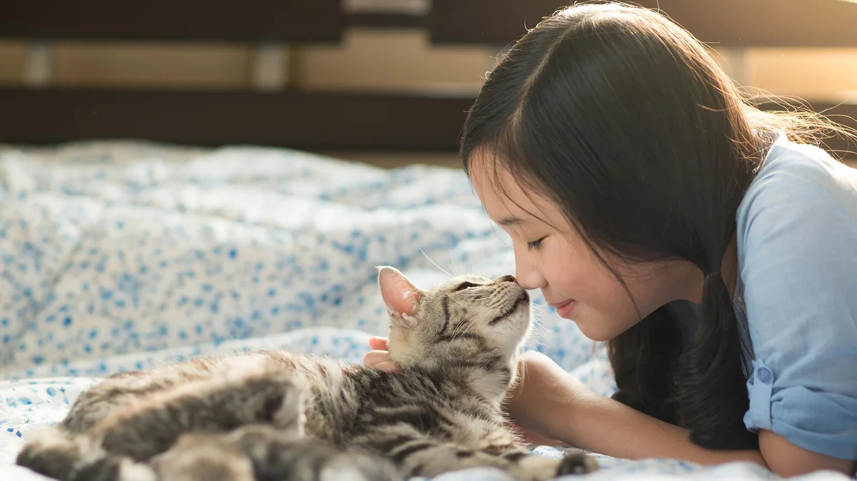 Macht Ihre Katze das nur in Ihrer Gegenwart? Das ist ein Beweis für etwas Besonderes