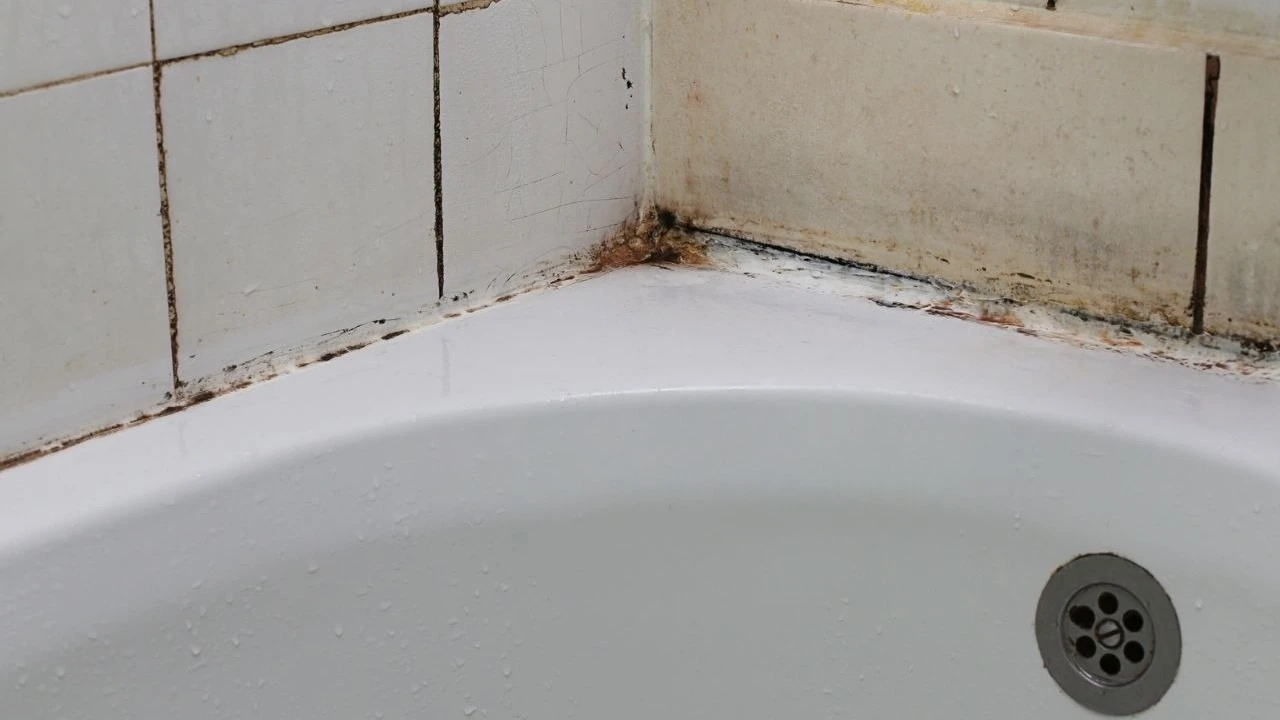 Schimmel an den Fugen im Badezimmer? So werden Sie ihn in einer Minute los.