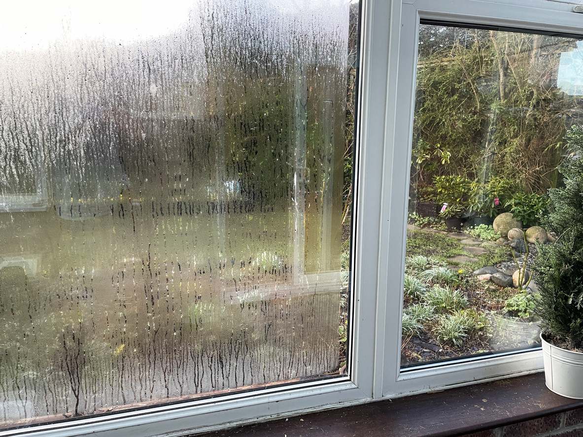 Keine Ventilatoren, keine Luftentfeuchter: Ein einfacher Trick für zu Hause, um Feuchtigkeit in Ihrem Haus zu beseitigen