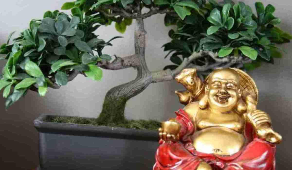 Denken Sie nicht einmal daran, diese Pflanze in Ihrem Zuhause aufzustellen: Sie zieht Einsamkeit und Unglück an, und Feng Shui bestätigt dies.