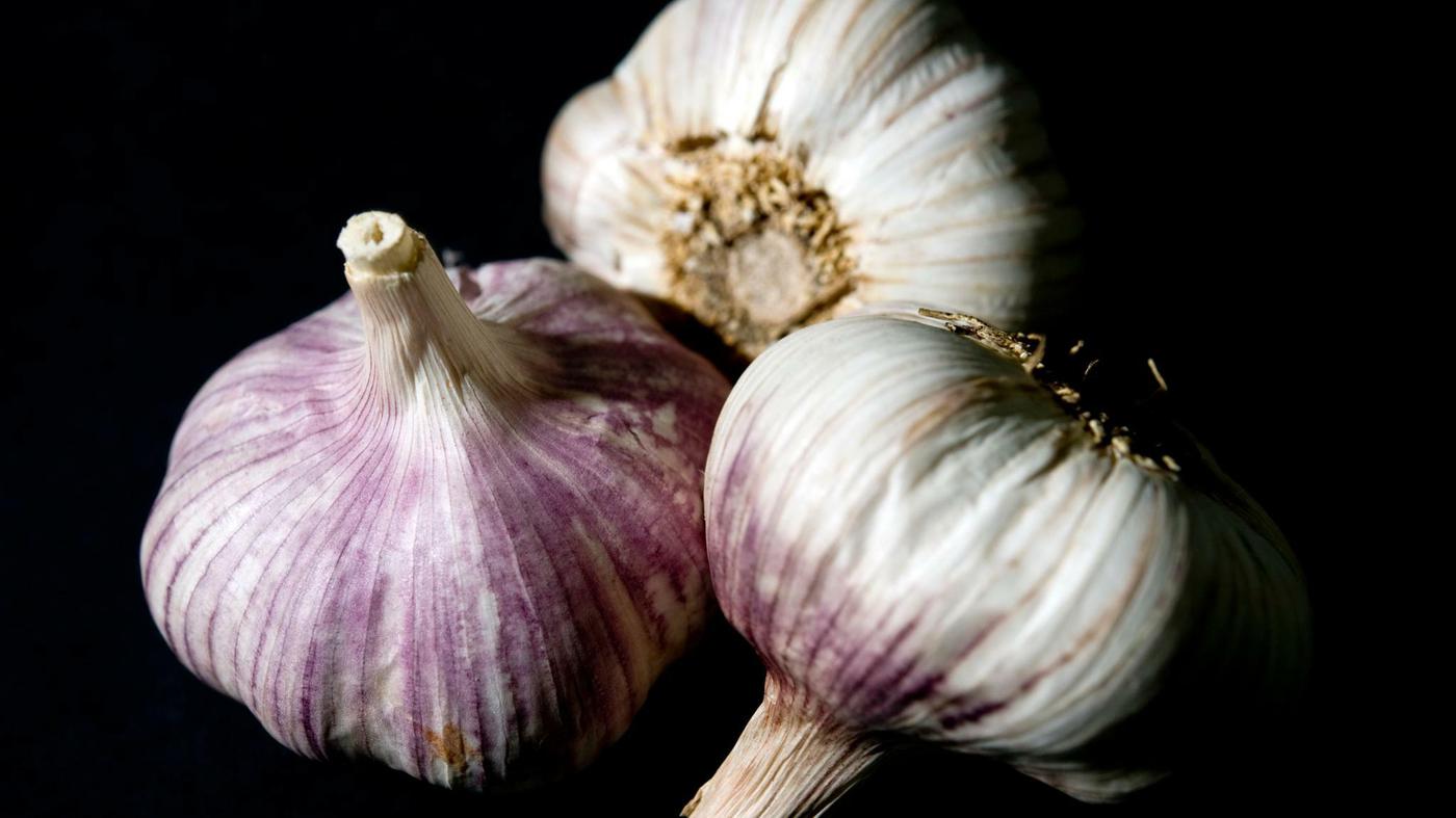 Vorbereitung des Knoblauchs vor dem Pflanzen. Probieren Sie die alte Methode aus, die Knollen werden wie Bälle
