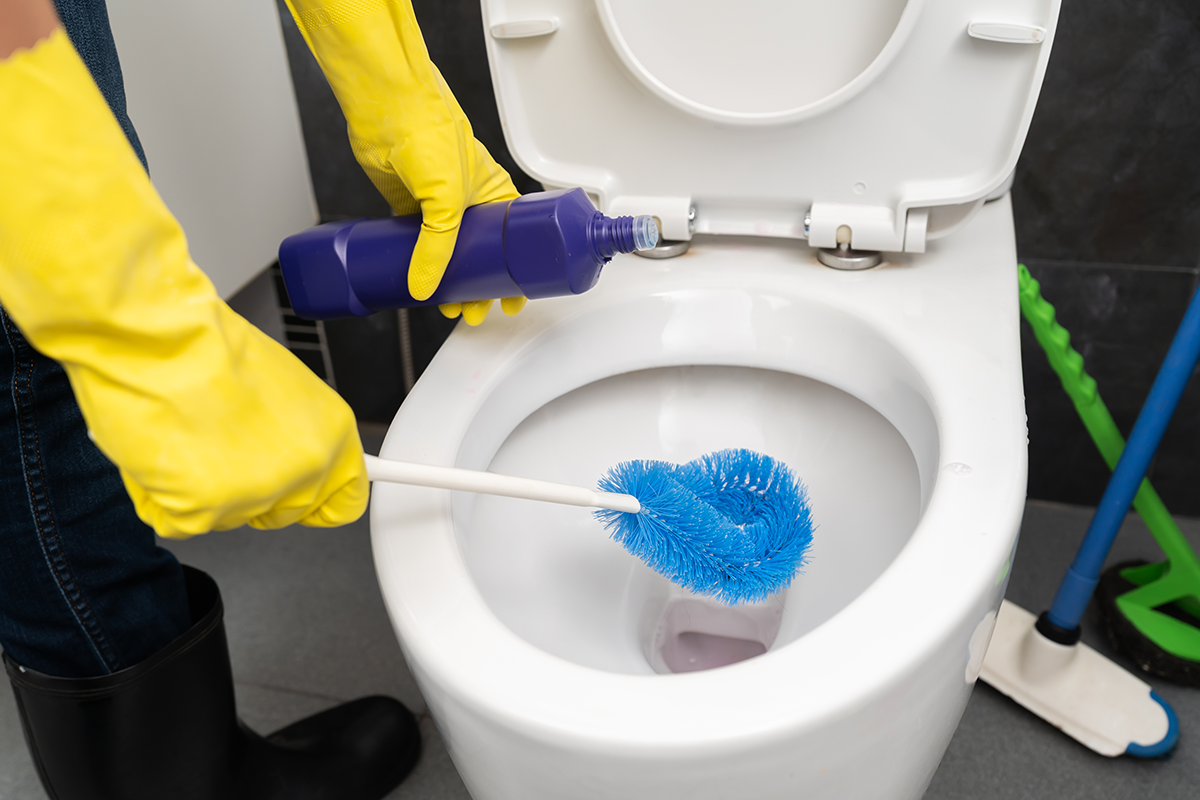 Ohne Bleichmittel und Ammoniak: Ein einfacher Tipp vom Reinigungsexperten, um die Toilette zu desinfizieren und Gerüche zu beseitigen
