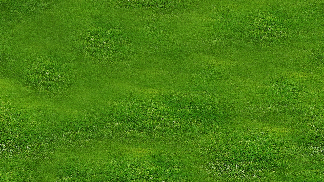 Das wahre Geheimnis eines schönen Rasens. Machen Sie es im September, und Ihre Nachbarn werden Sie beneiden