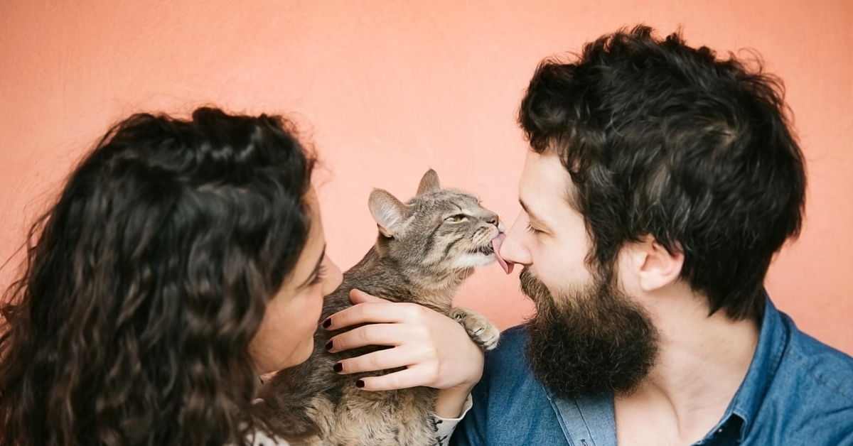 Macht Ihre Katze das nur in Ihrer Gegenwart? Das ist ein Beweis für etwas Besonderes