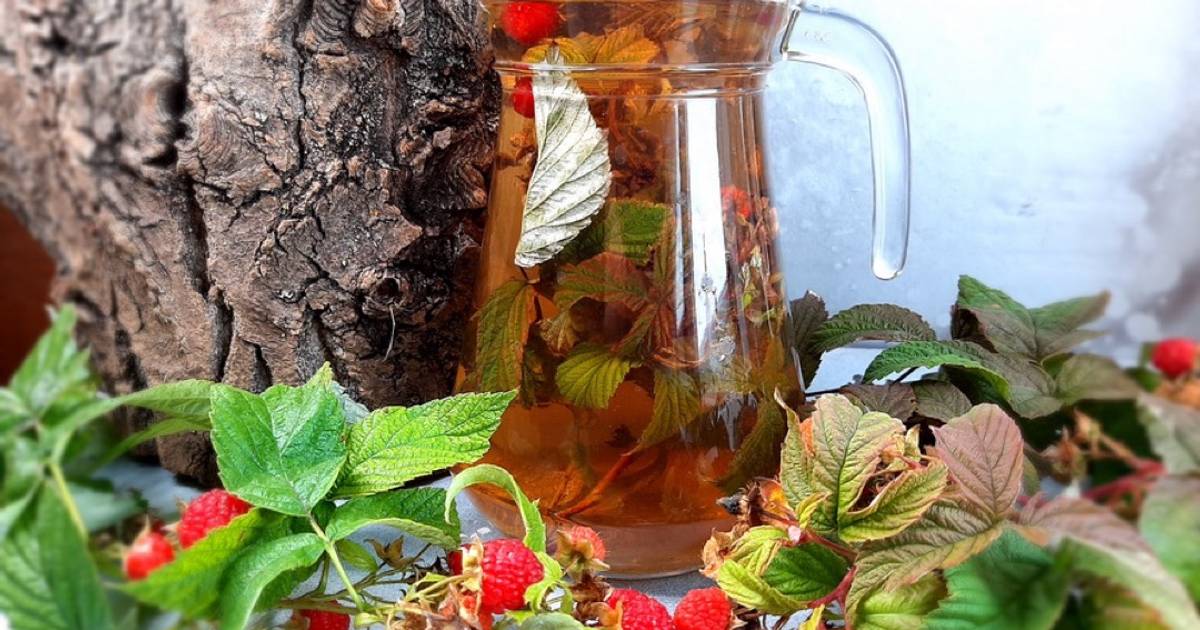 Nicht nur die Früchte dieses Strauchs sind wertvoll. Die Blätter der Himbeere können als Tee aufgegossen werden