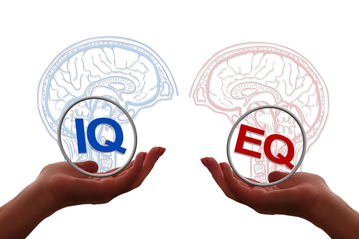 6 Gewohnheiten, die auf eine überdurchschnittliche emotionale Intelligenz hindeuten. Haben Sie sie auch?