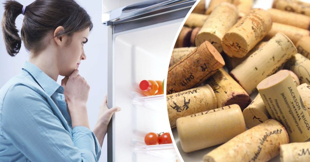 Ein genialer Trick mit einem Korken im Kühlschrank, den immer mehr Menschen anwenden