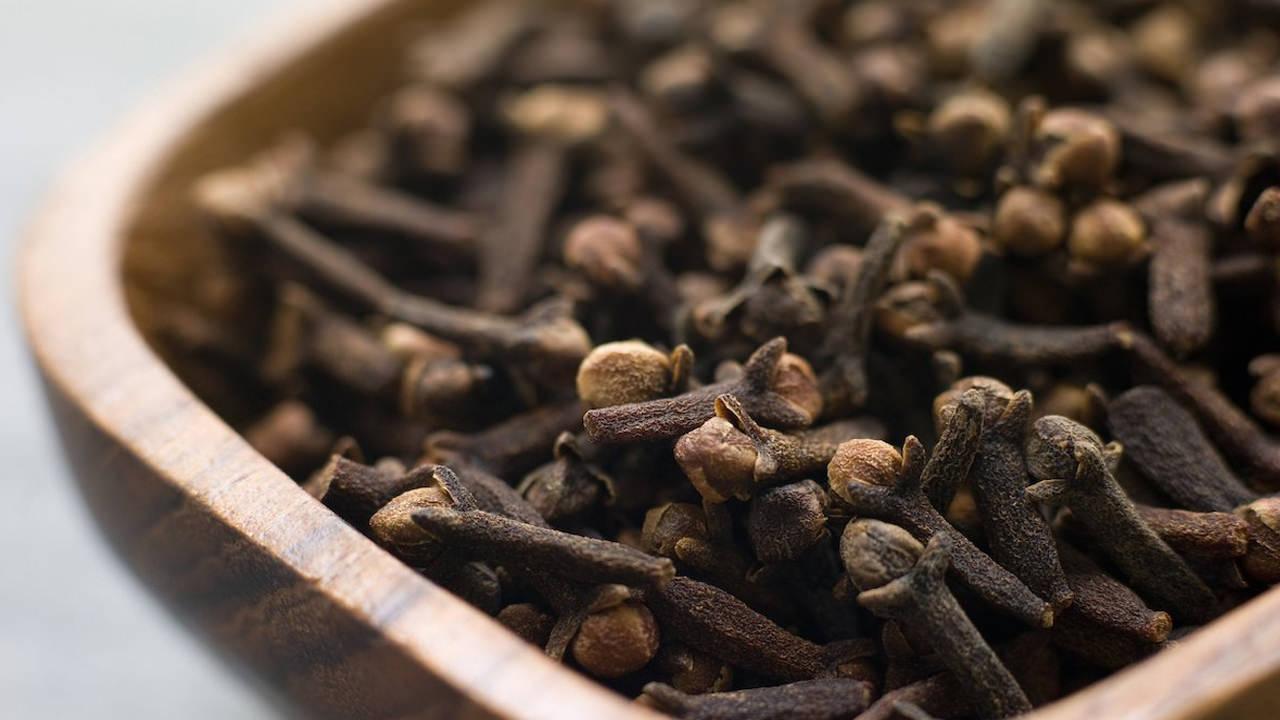 Wie ein paar Nelken, die in einer Schüssel mit Essig verstreut sind, Fliegen und Mücken vertreiben „Ich konnte zum ersten Mal in Ruhe kochen“