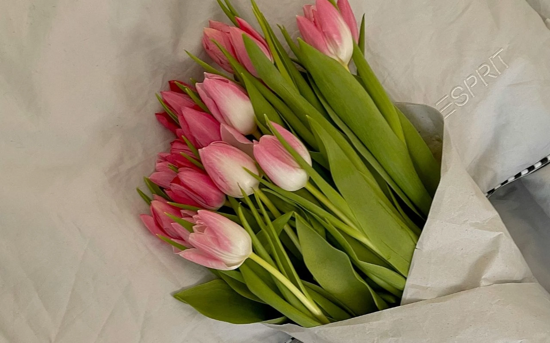 Lassen Sie Schnittblumen in diesem Raum stehen? Die Wahl dieser Pflanzen stört die positive Energie im Feng Shui.