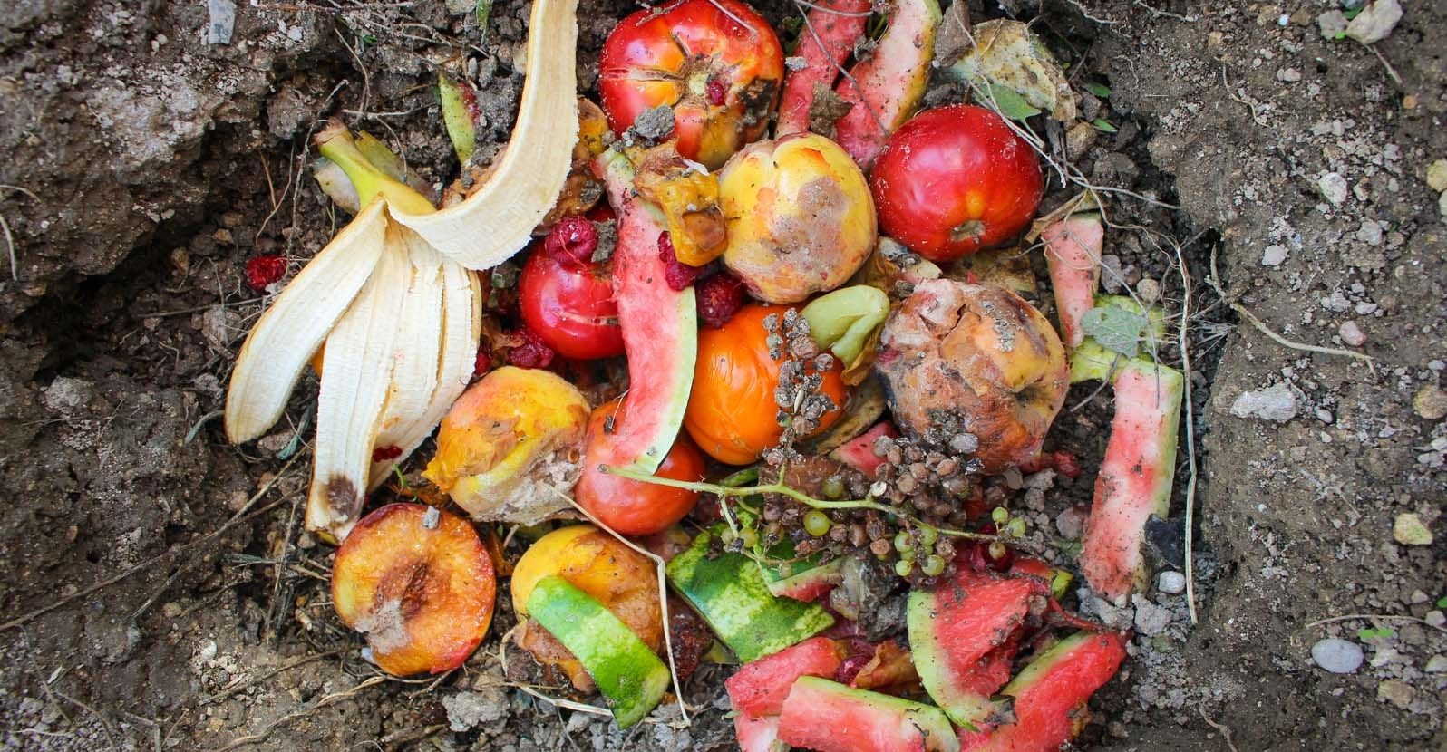 Werfen Sie verdorbene Früchte nicht weg. So können Sie die Ernte aus Ihrem Garten nutzen