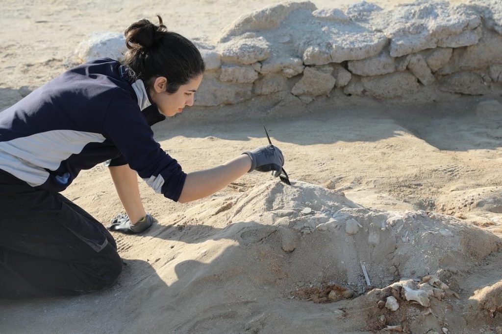 Archäologischer Fund: Die Entdeckung, die auf vor 5500 Jahren datiert wird, beeindruckte die Forscher durch ihre „unglaubliche Fortschrittlichkeit”.