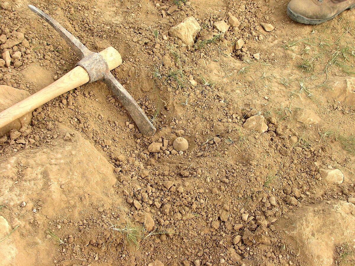 Archäologischer Fund: Die Entdeckung, die auf vor 5500 Jahren datiert wird, beeindruckte die Forscher durch ihre „unglaubliche Fortschrittlichkeit”.