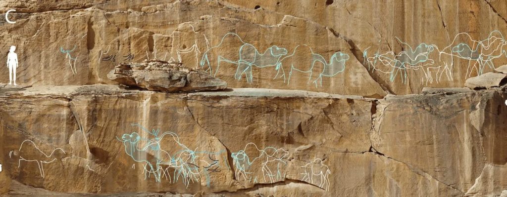 Monumentale Darstellungen von Kamelen, die vor 12.000 Jahren entstanden sind und in Arabien entdeckt wurden, waren „Wegweiser” zum Wasser