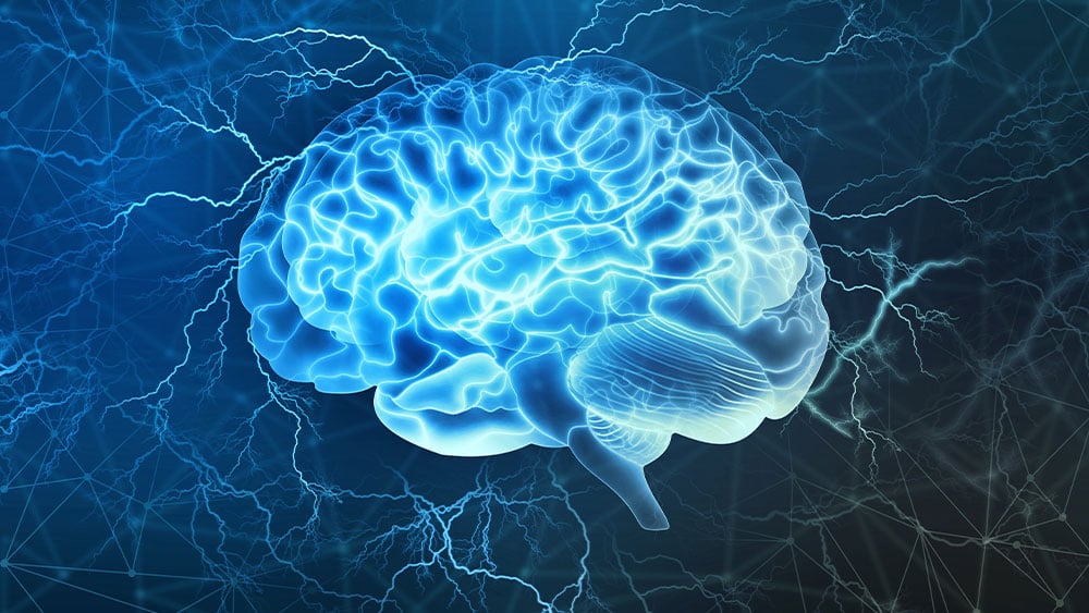Forscher der Universität Sevilla haben die Bereiche des Gehirns identifiziert, die in den frühen Stadien der Schizophrenie am stärksten betroffen sind