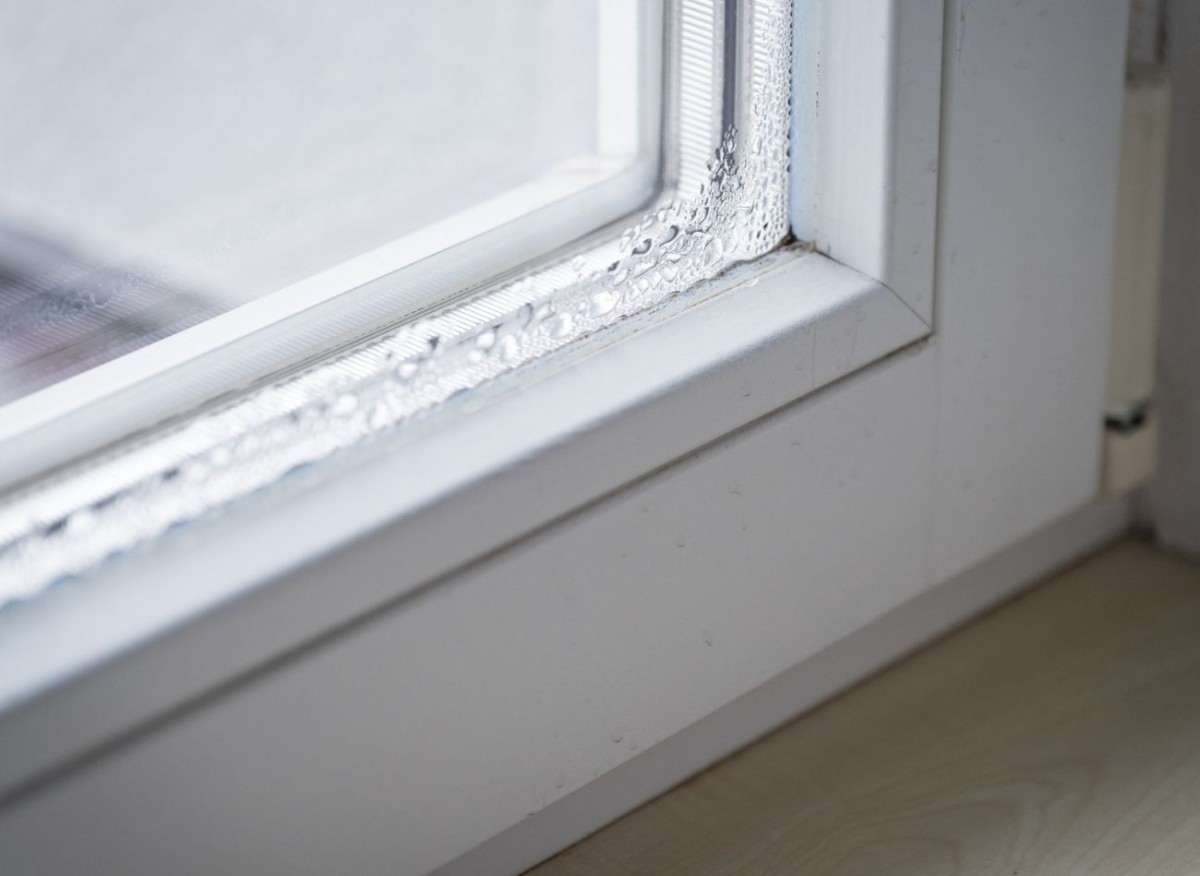 Ist es in Ihrem Haus feucht? Legen Sie dies auf die Fensterbank, und Sie werden das Problem schnell vergessen