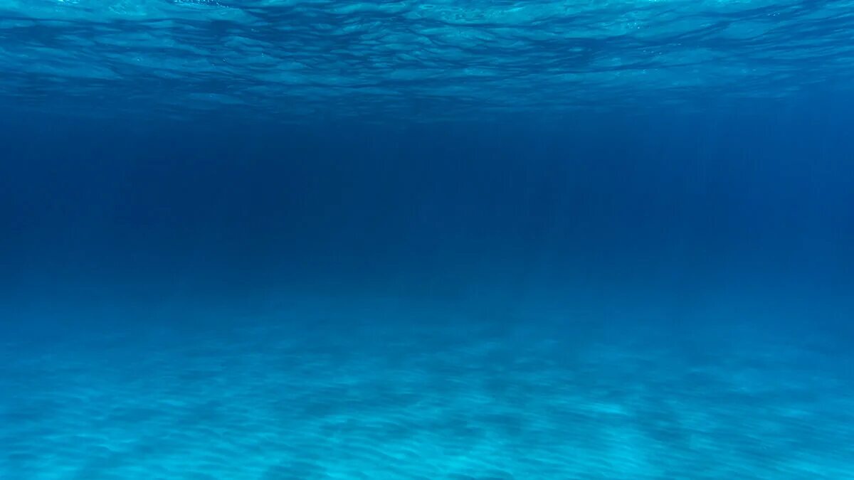 Europa hat den größten Schatz gefunden, der jemals unter Wasser entdeckt wurde: Jährlich können fast 45.000 Tonnen gefördert werden