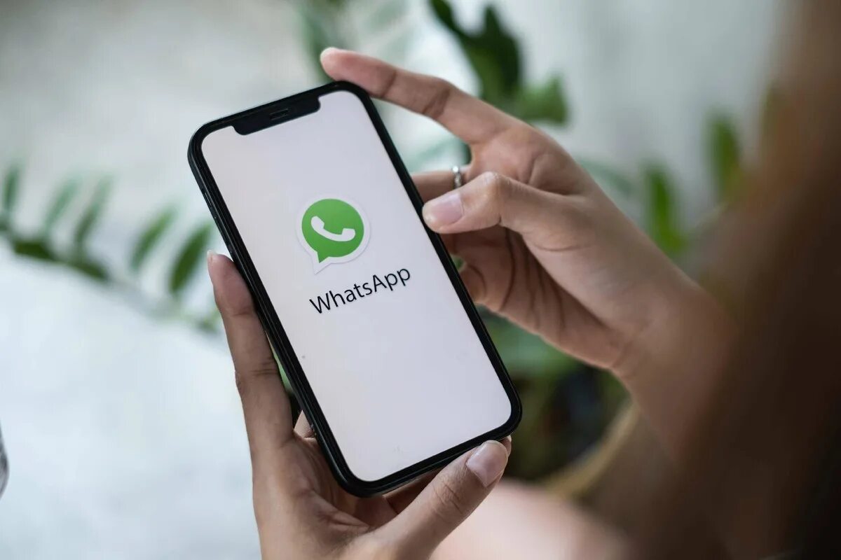 Schritte zum Auffinden des geheimen WhatsApp-Papierkorbs