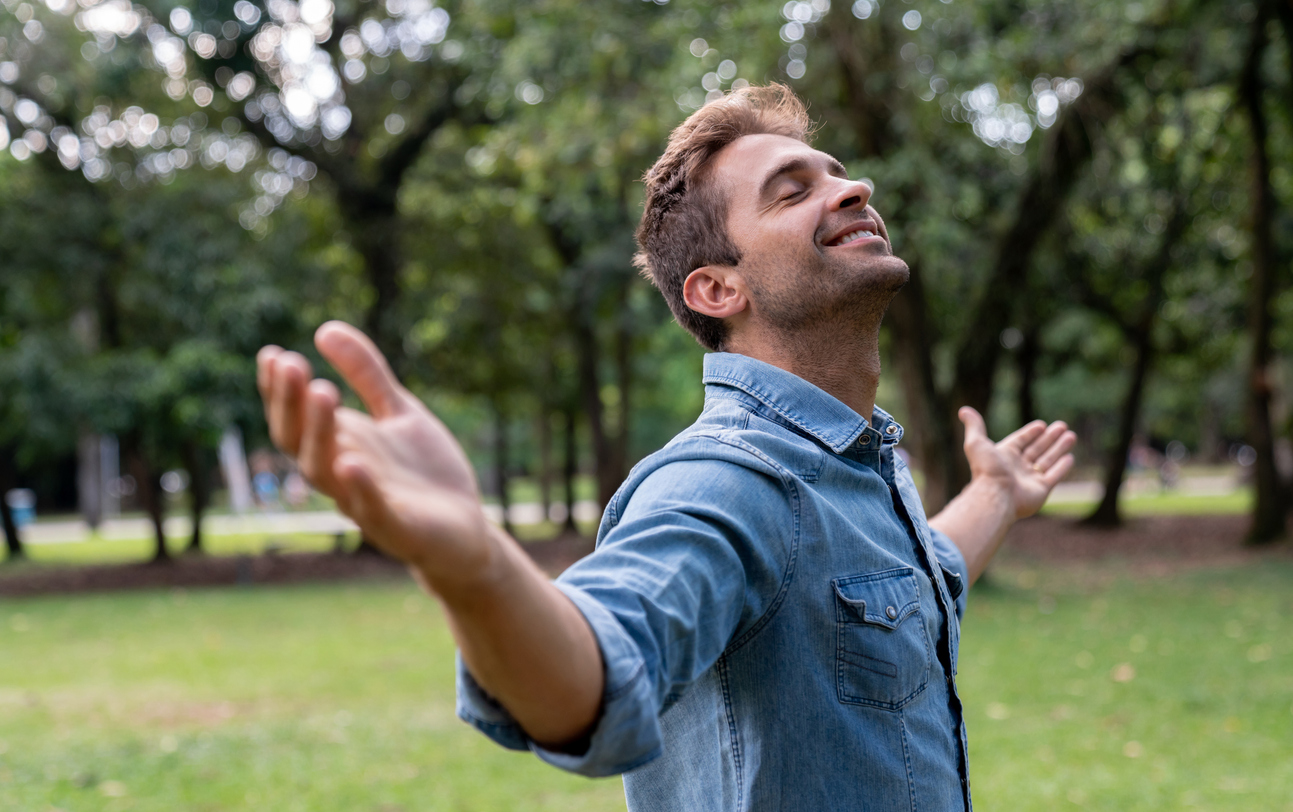 Wählen Sie einen Baum aus – und erfahren Sie, was Ihre Stärke ist: Ein psychologischer Test hilft Ihnen, sich selbst besser zu verstehen
