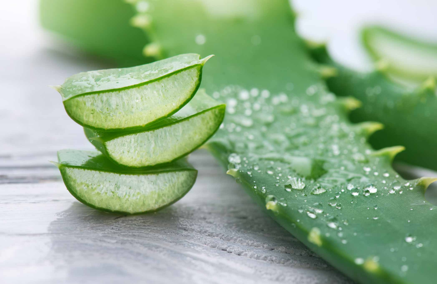 Aloe Vera für das Gesicht: Wie man das natürliche Gel zur Befeuchtung, Entzündungshemmung und Verjüngung der Haut verwendet