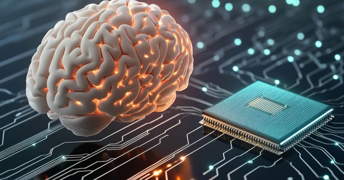 Sie züchten winzige Gehirne aus menschlichem Gewebe. Zur Versorgung von Computern