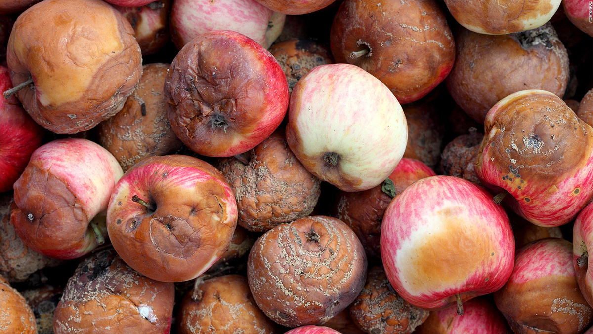 Werfen Sie verdorbene Früchte nicht weg. So können Sie die Ernte aus Ihrem Garten nutzen