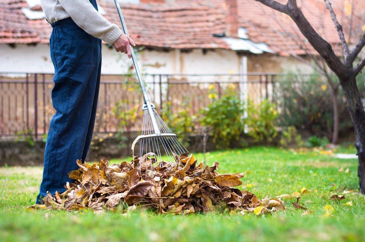 Wiederholen Sie diesen Fehler im Oktober nicht. Das Gras wird den ganzen Winter über dicht und gesund sein