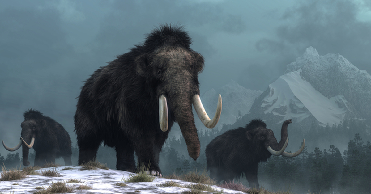 Wie Menschen die Tierwelt verändert haben: Eine Studie über 50.000 Jahre Wandel