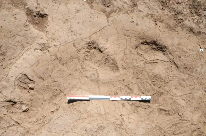 In der Türkei wurden Spuren von Menschen gefunden, die vor 7000 Jahren lebten: ein einzigartiges Zeugnis des prähistorischen Lebens in Anatolien