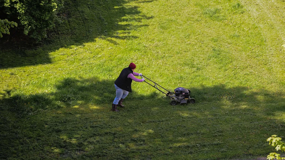 Wann sollte man das Gras zum letzten Mal mähen? Ein Fehler, und im Frühjahr entstehen gelbe Flecken